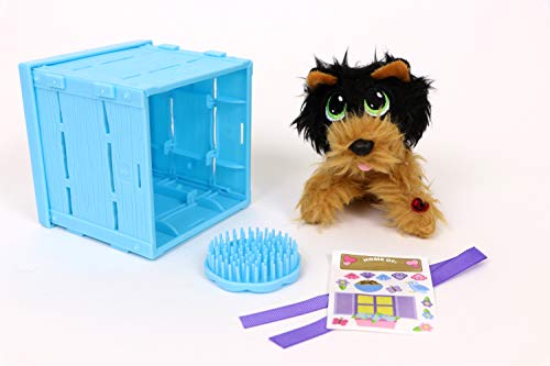 Rescue Runts 18138 Babies Yorkshire Terrier