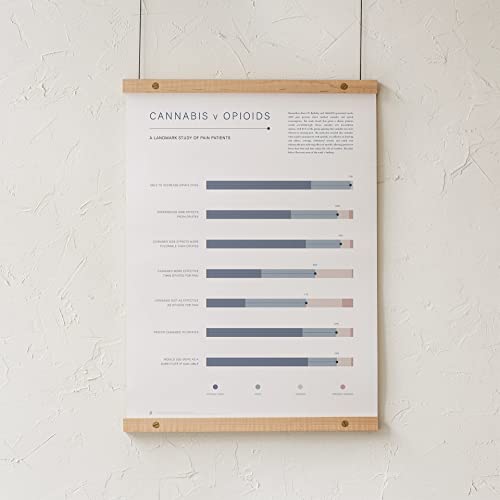 Goldleaf Cannabis V. Opioids Chart: A Pain Patient Study Infographic Art Print, Medical Marijuana Poster, Wellness Dispensary Decor, Weed Chart Wall Art, Print Only (18X24) #TOP4