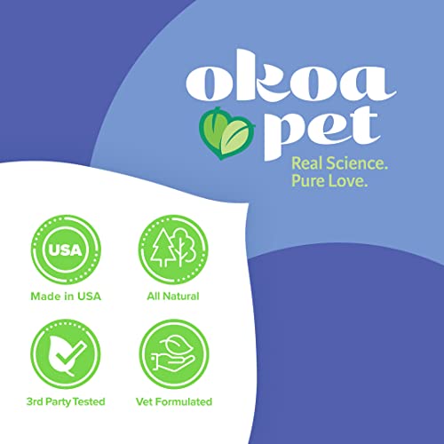 Belly Boost Probiotic Soft Chews for Dogs – Vet Formulated for Gut Health, Digestion, Allergy Relief, & Immune System Support – Smoked Pumpkin & Sweet Potato Flavor – for All Breeds & Sizes Belly Boost Probiotic Soft Chews for Dogs – Vet Formulated for Gut Health, Digestion, Allergy Relief, & Immune System Support – Smoked Pumpkin & Sweet Potato Flavor – for All Breeds & Sizes