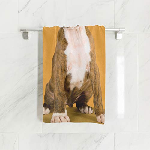 ALAZA Toalha Boxer de Microfibra para Academia Cachorro, Toalha de Lavagem Facial Esportiva de Secag