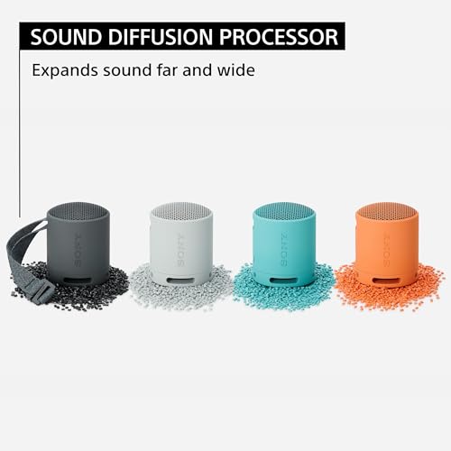Sony SRS-XB100 Wireless Bluetooth Portable Lightweight Super-Compact Travel Speaker, Extra-Durable IP67 Waterproof & Dustproof, 16 Hrs Batt, Versatile Strap, Extra Bass & Hands-Free Calling-Black 7