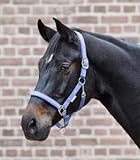  Waldhausen Halfter Pferdchen, Lavendel, Warmblut