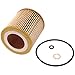 FRAM Tough Guard Replacement Oil Filter TG10075 with SureGrip, Designed for Interval Full-Flow Conventional and Synthetic Oil Changes Lasting Up to 15K Miles (Pack of 1)