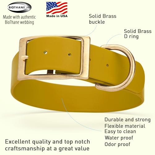 Image of Viper Biothane Heavy Duty Waterproof Dog Collar Strong Coated Nylon Webbing w /Solid Brass Hardware Odor-Proof Easy to Clean High Performance Fits Small Medium or Large Dogs, Treasure Gold