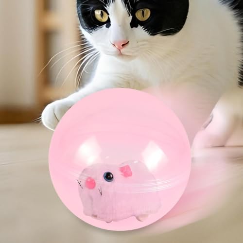 XIQIQI Bälle für Katzen | Interaktive lustige Indoor-Haustierspiele | Elektrischer Automatischer Katzenspielball | Für Kleine Mittelgroße Hunde Welpen Bewegung Jagd Langeweile Stimulation-3