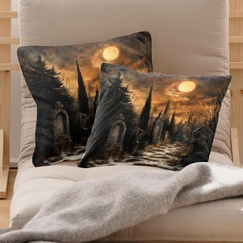 Housses de coussin velours doux Graveyard 50x50 cm pour protéger vos inserts - 3