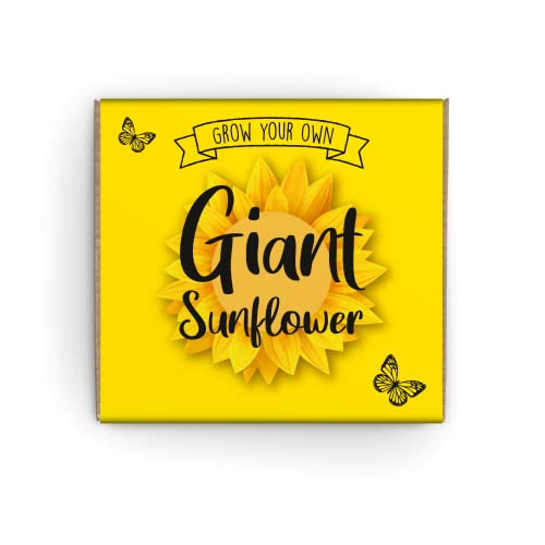 Grow Your Own Sunflower Kit Mamouth Edition - Complete Beginner Starter Kit | Easy Instructions | Made in UK | Perfect Gardening Gift for Any Occasion