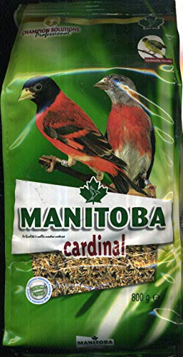 Manitoba - alimento para cardenalitos Cardinal MANITOBA 800 GR
