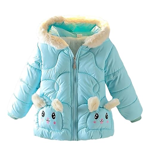 Kids Girls Cute Hooded Puffer Coat Thicken Warm Winter Windproof Down Jacket Zipper Comfy Outerwear Clothes With Pocket
