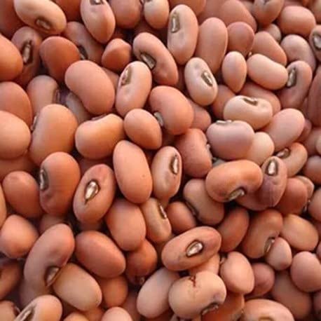 Dalthamman Lal Lobia/Red Cowpea 490 Gram/Red Kidney Beans/Karamani (B0C34NM3KY) Amazon Price History, Amazon Price Tracker