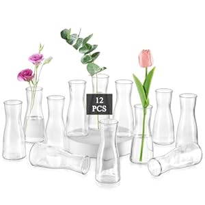Glasseam Glass Bud Vases for Centerpieces: Clear Flower Vase Set of 12 Modern Small Vases for Flowers Minimalist Cute Decorative Vases for Decor Wedding Table Dining Room Decoration