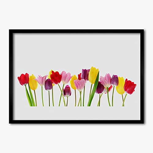 Affiche encadrée tulipes Tulup 70x50 cadre MDF de qualité supérieure