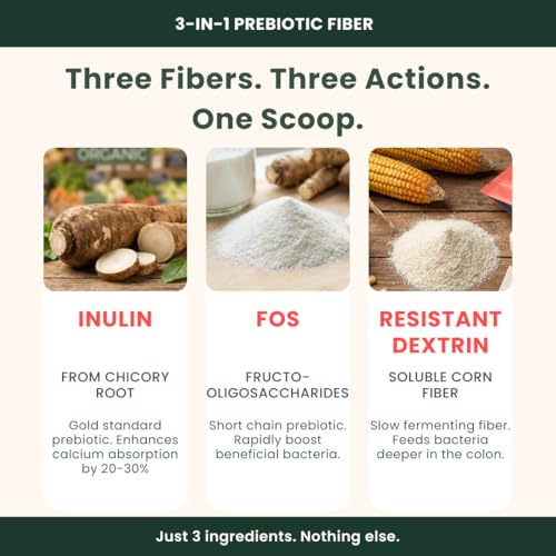 Image of Gutbasket Fiber Boost - 3-Prebiotic Fibre Supplement (Inulin, FOS, Resistant Dextrin) | Grows Good Gut Bacteria | Relieves Constipation | Improves Calcium Absorption | Tasteless, Dissolves Easily | Vegan, Gluten-Free (120 g)
