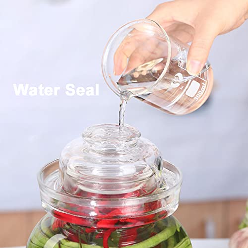 Aosnttol 2.5 Liter Pickle Jar Glass Jar With Lid, Wide Mouth Fermentation Kombucha Jar Crock With Water Seal For Making Pickles, Kimchi, Sauerkraut, Kombucha And Wine Brewing, Fermentation Kit #TOP3