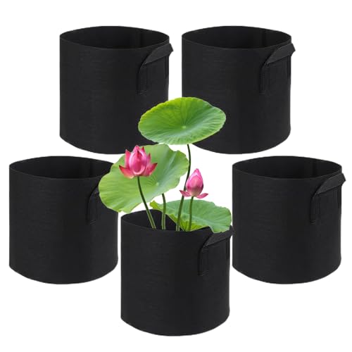 Cesta de plantas de estanque idónea para decorar terrazas con estanques y acuarios modernos 2