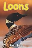 Loons Photo Book: Beautiful...