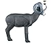Rinehart Targets 388 Stone Sheep Self Healing Archery Hunting Target - IBO