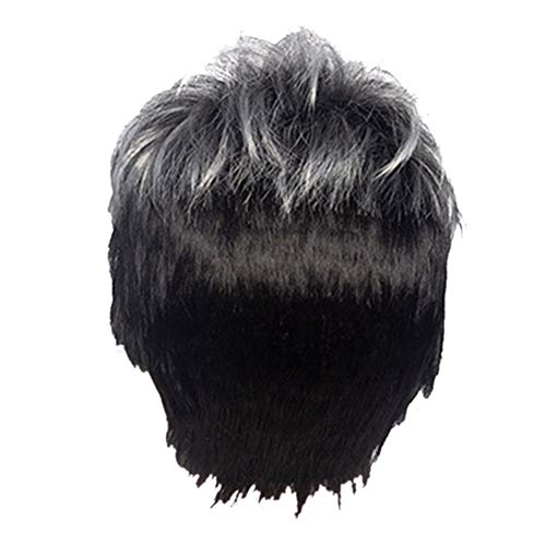 Hagsnec Perüca corta recta para hombre, color negro degradado, pelo sintético para cabellos masculinos, ovejas, realistas, naturales