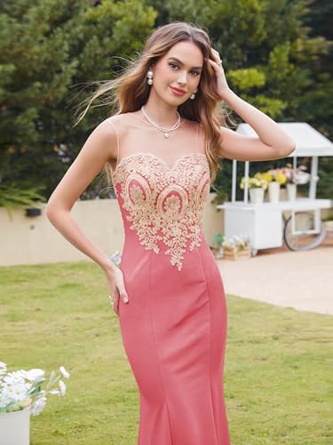 Image of Prom Dress for Women 2025 Gold Lace Applique Long Sheer Illusion Mermaid Formal Dresses Evening Gown