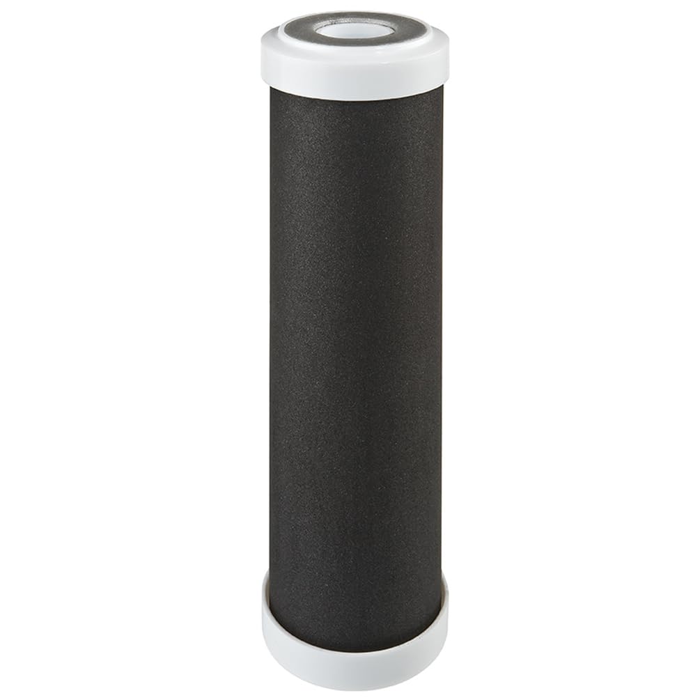 DP3 PFAPCBPCA 0,3 mcr 3/4 filtro acqua microrganismi batteri virus calce cloro