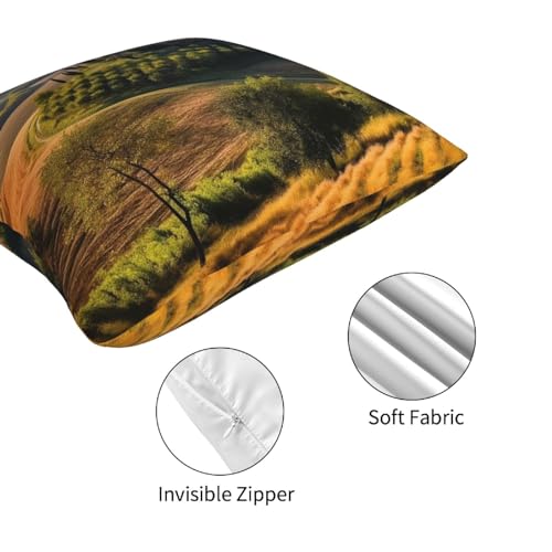 Housses de coussin décoratives pour canapé : transformez votre salon facilement - 7