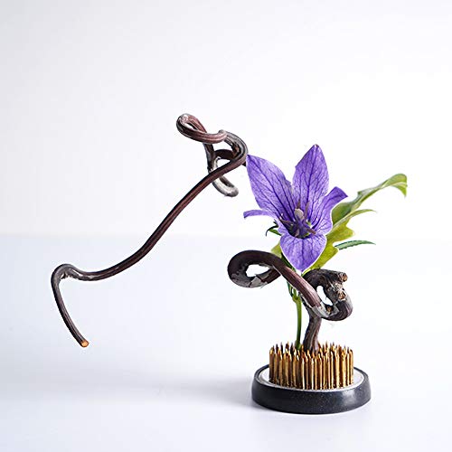 Flower Frog Round Holder Pin Frog For Flower Arrangement (2") #TOP4