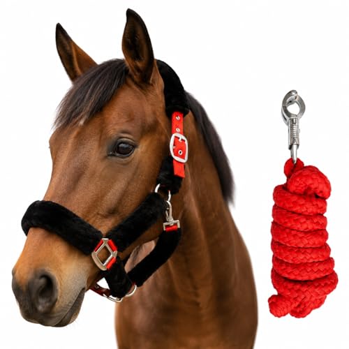 Pferde Halfter und Strick Fellhalfter mit Führstrick Pferd Panikhaken Halfter Pony Cob Warmblut Kaltblut (Warmblut (Full))