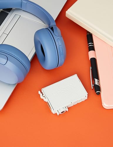 Epson T1281 Cartouche d'encre d'origine Durabrite Ultra Noir, Taille Unique (Lot de 2)