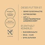 PrimaCat - Getreidefreies Trockenfutter für sterilisierte Katzen, Geschmacksrichtung Truthahn und Insekten, 400 g