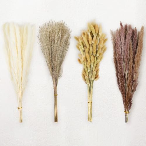 Le courant 17 100Pcs Dried Pampas Grass Decor Naturally Small Boho Pampas Grass with Bunny Tails & Reed Grass for Home Table Decor Wedding Rustic Farmhouse Party Decorations White and Brown