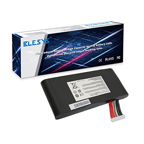 BLESYS BTY-L77 Akku für MSI GT72 2QE 2QD 2PE 6QD 6QE GT72S 6QD 6QE GT72VR 6RD 6RE 7RD 7RE WT72 2OM 2OK 2OL 6QI 6QJ 6QK 6QL 6QM 6QN Series Notebook MS-1784 BP-1781-33/2500 BP-1781-33/2500S