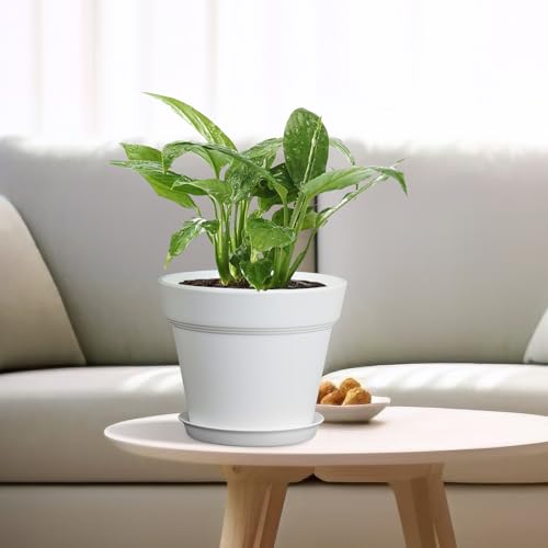 Homeuouz 6 Packs Blumentopf mit Untersetzer, 17.8cm Pflanzentopf, Plastik Übertopf mit Mehrere Ablauflöchern, Hydrokultur Topf… – Ansicht 5