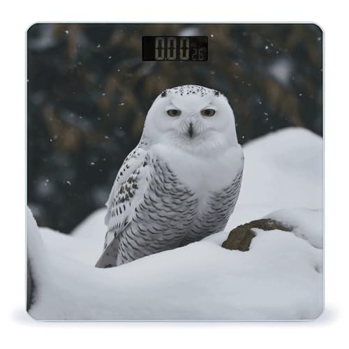 Báscula Digital de Baño Snow Owl Capacidad 400lb LCD miniatura 1