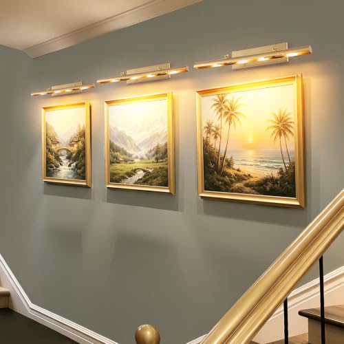 Image of BELS Picture Lights for Wall Hardwired, 30 Inch Gold Wall Lights for Pictures, Dimmable, 270 Adjustable Swing Arm, Hardwired Wall Light for Artwork Poster Portrait Library Display