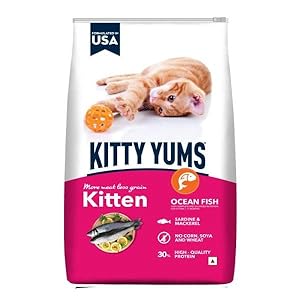 Kitty Yums Kitten (1-12 Months) Dry Cat Food, Ocean Fish, 400 GMS