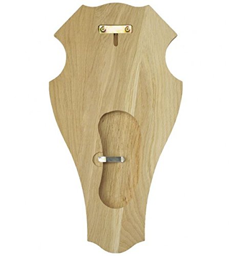 5er Pack Rehbock Gehörnbrettchen Eiche 22x13cm dunkel Spitze Trophäenschilder