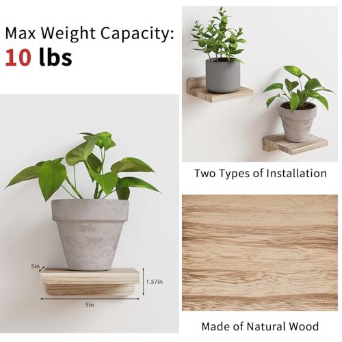 Image of Fixwal Small Floating Shelves for Wall (Light Carbonized, Set of 4, 5Inch) | Rustic wood shelf for displaying mini frames, plants, collectibles. Fits bedroom, living room, bathroom, kitchen, or office.