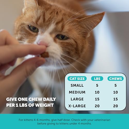 Cat Hairball Support + Cat Calming Crunchy & Creamy Chews Essential Bundle - Furball Treatment, Anxiety Relief for Cats (Chicken) - Thumbnail 7
