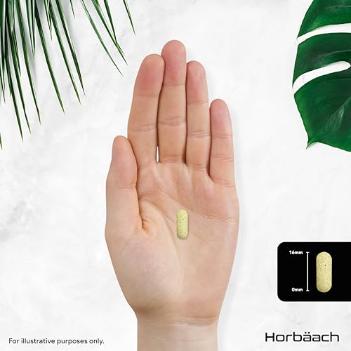 Multivitamin Tablets for Men and Women | 400 Count (13 Months Supply) | with 28 Essential Nutrients Including Vitamin D, B12, Zinc and Iron | A-Z Vitamins & Minerals | by Horbaach - Image 5