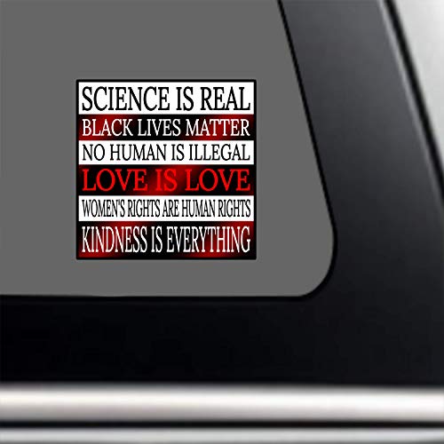 Kindness Is Everything Bumper-Sticker - Love-Is-Love Human Rights Vinyl Decal 3 X 3" L Car Auto Window Real Science Black Lives Matter Blm Lgbt-Q-Ia + Better Than Magnets Coexist Dismantle Patriarchy #TOP2