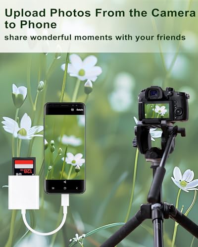 Leitor de cartão SD USB C, compartimento duplo, USB tipo C, leitor de cartão SD e TF compatível com