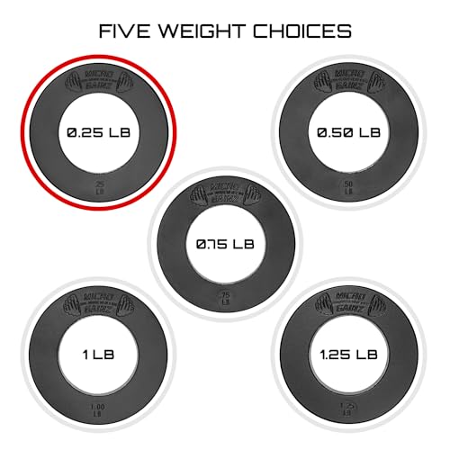 Image of Micro Gainz Calibrated Fractional Weight Plate Set of 2 Plates, Choose Set (.25LB-1.25LB), Designed for Olympic Barbells for Strength Training & Micro Loading Bar Weights, Made in USA