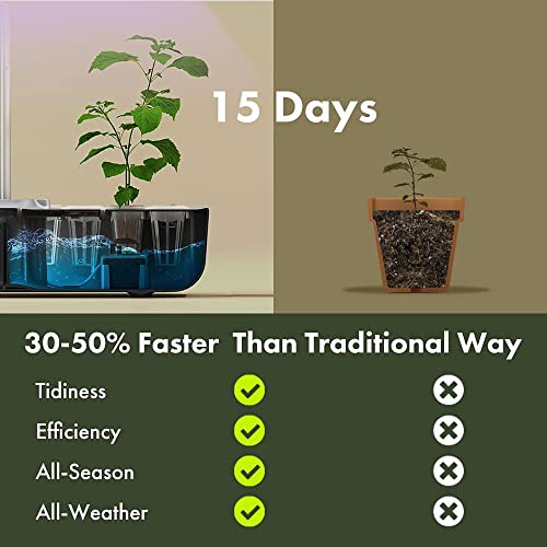 Hydroponics Growing System 12 Pods,Lyko Indoor Garden W/Full-Spectrum 36W Grow Light,Indoor Herb Garden Automatic Timer,Height Adjustable 3.5L Water Tank, Gifts For Men Women (Silver) #TOP4