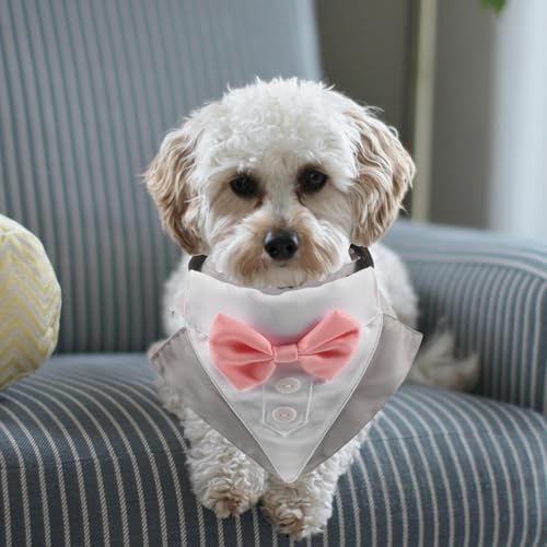 Disfraz formal para perros pequeños FRCOLOR miniatura 5
