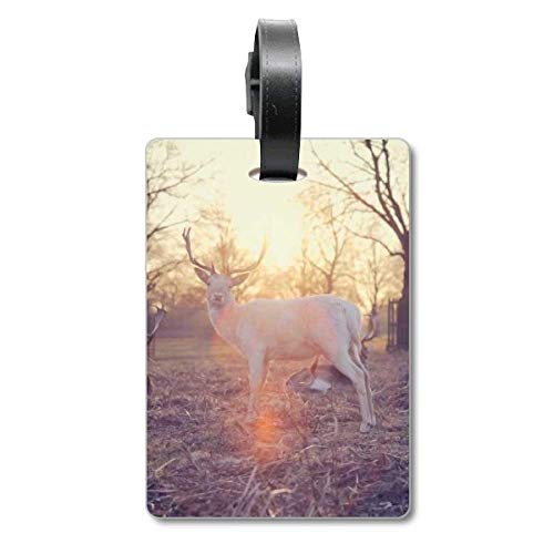 Étiquette d'identification pour valise Sheep Forestry accessoire voyage