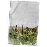 Essuie Main 40x70cm, Image De L'Aquarelle Technique Mixte Champ De Chevaux Art Serviettes De Bain Absorbante Draps De Bain Microfibre Serviette De Voyage pour Garçon Fille