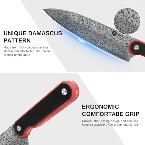 Image of FINTISO Chef Knife 8 Inch, Professional 67-Layer Damascus Stainless Steel Kitchen Knife with 10Cr15CoMoV Steel Core, Ultra Sharp Cooking Knife with Ergonomic Full Tang G10 Handle