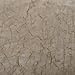 No. 918 Erica Crushed Sheer Voile Rod Pocket Curtain Panel, 51