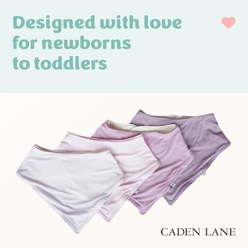 Caden Lane Bandana Bibs, Absorbent Baby Bib for Drooling, Feeding & Teething With Adjustable Double Snap Suitable for Newborns to Toddlers, Gender Neutral Gift for Baby Shower, 4 Pack, Purples2