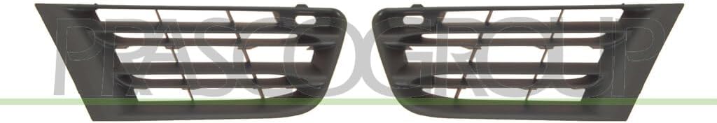 RN0342010 Radiator Grille